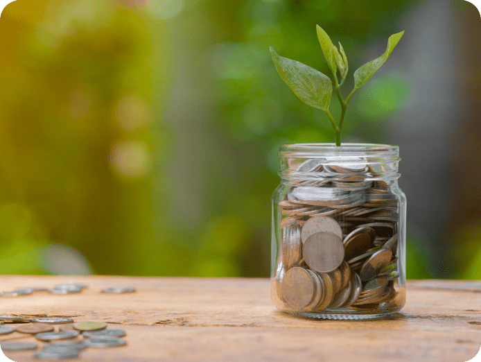 coins on wooden surface with other in a coin jar and a plant growing on it